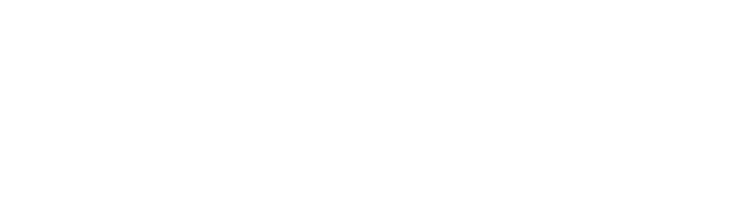 Elevate Women's Business Summit logo in white